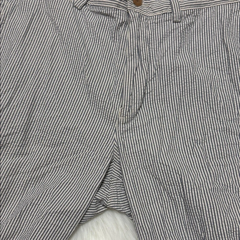 J. Crew Men's Club Short Pinstripe Shorts - Blue and White C3
